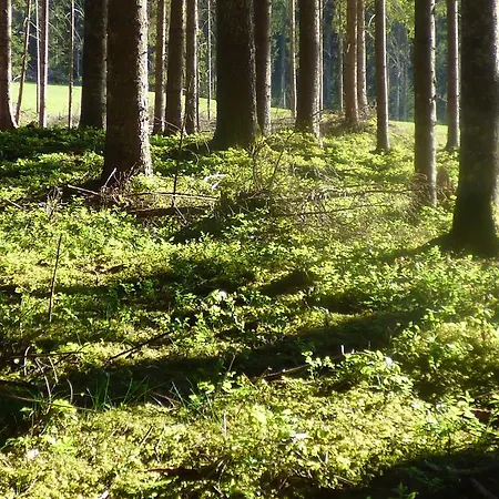 Zajazd Dorfschenke Stall