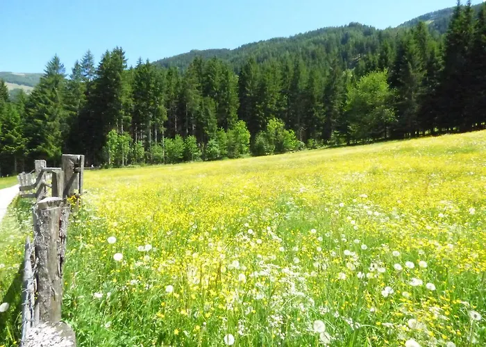 Gasthof Dorfschenke Мини-отель