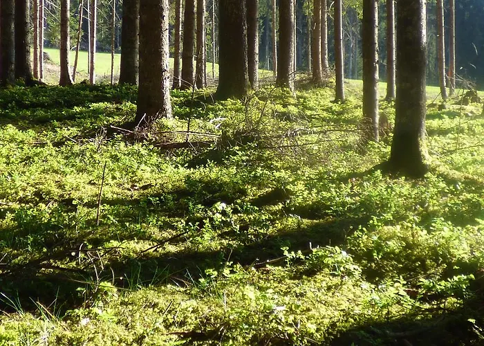 Fogadó Dorfschenke Stall