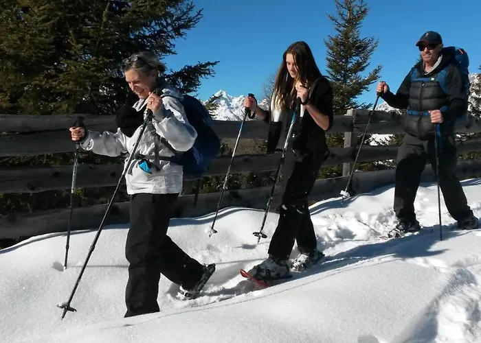 Gasthof Dorfschenke 3* Шталль